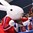 OSTRAVA, CZECH REPUBLIC - MAY 2: Fans celebrate with Bob, one of the official tournament mascots during preliminary round action at the 2015 IIHF Ice Hockey World Championship. (Photo by Richard Wolowicz/HHOF-IIHF Images)

